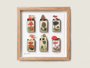 Fungi