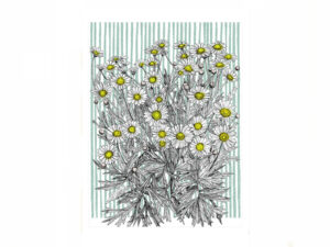 Danish Daisy