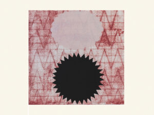 Seed