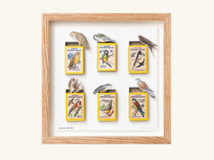 Yellow Spring Birds