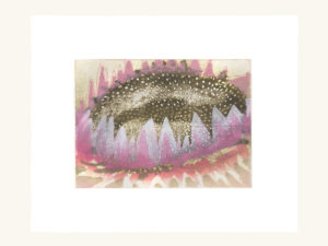 Softened By Warming II