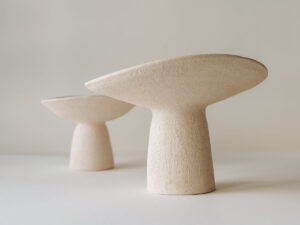 Cep (medium and king)